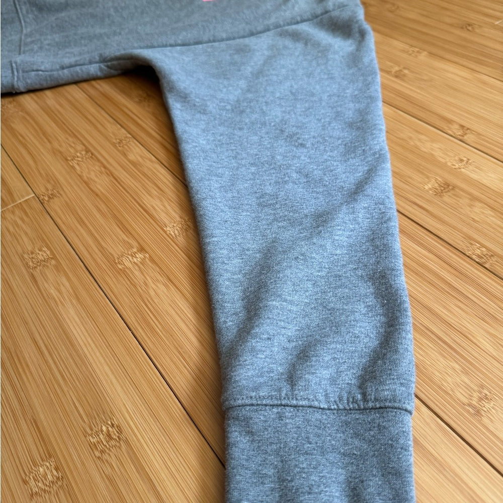 Clean Mossimo Supply Co. Gray and Pink Literally Sweatshirt