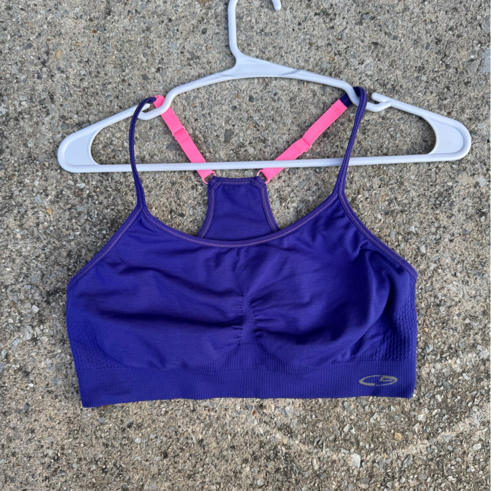 Clean Champion Purple and Pink Women's Sports Bra Size L