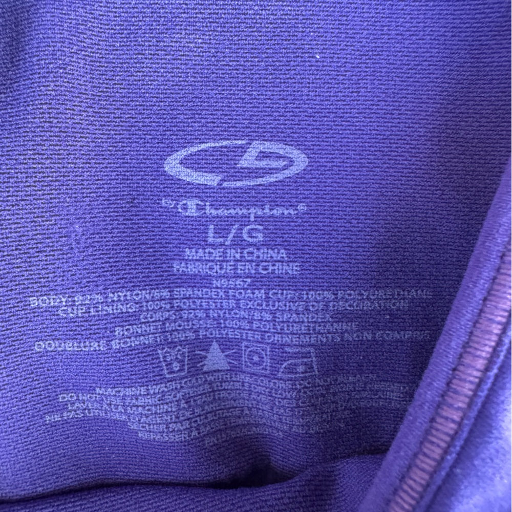 Clean Champion Purple and Pink Women's Sports Bra Size L