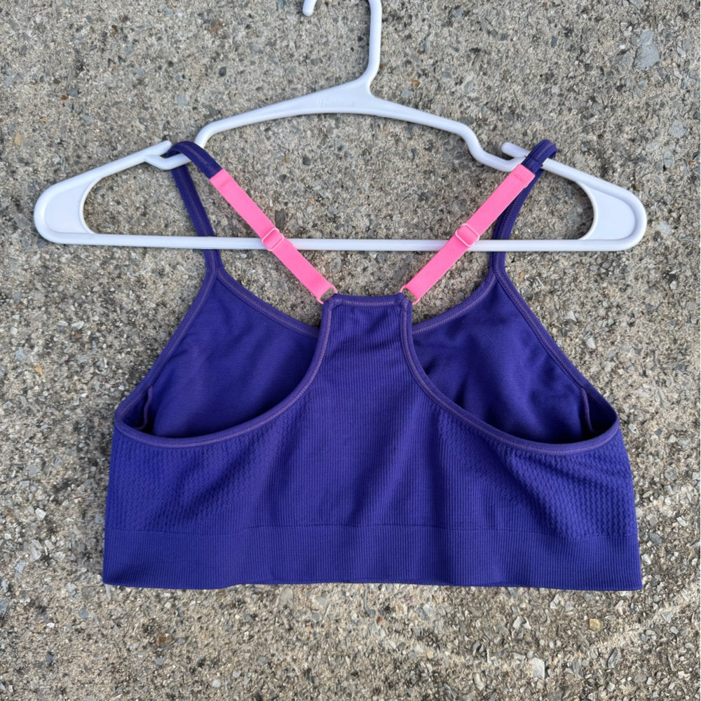 Clean Champion Purple and Pink Women's Sports Bra Size L