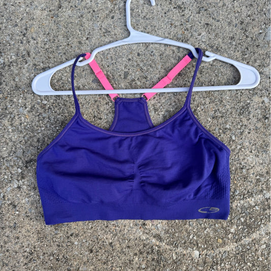 Clean Champion Purple and Pink Women's Sports Bra Size L